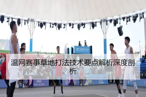 温网赛事草地打法技术要点解析深度剖析